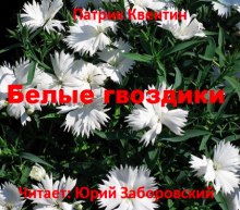 Слушать онлайн аудиокниги Белые гвоздики Аудиокнига Белые гвоздики