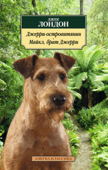 Аудиокнига Майкл, брат Джерри