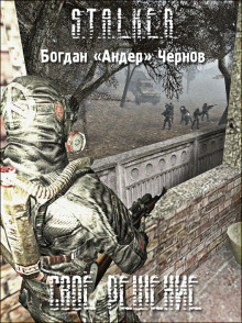 Аудиокнига S.T.A.L.K.E.R. Своё решение