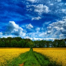 слушать аудиокнигу Любимый уголок природы. Сеанс релаксации Аудиокнига Любимый уголок природы. Сеанс релаксации
