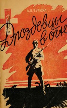 Слушать онлайн аудиокниги Дроздовцы в огне Аудиокнига Дроздовцы в огне