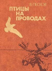 слушать аудиокнигу Птицы на проводах Аудиокнига Птицы на проводах