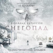 Слушать онлайн аудиокниги Снегопад Аудиокнига Снегопад