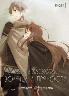 Слушать онлайн аудиокниги Волчица и пряности. Том 1 Аудиокнига Волчица и пряности. Том 1