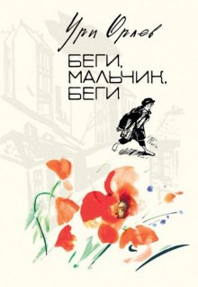 Слушать онлайн аудиокниги Беги, мальчик, беги Аудиокнига Беги, мальчик, беги