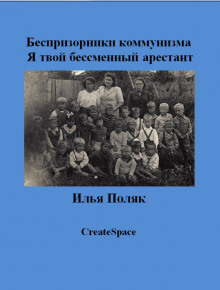 Слушать онлайн аудиокниги Песни задрипанного ДПР Аудиокнига Песни задрипанного ДПР