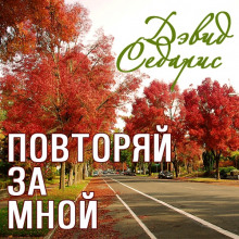 Слушать онлайн аудиокниги Повторяй за мной Аудиокнига Повторяй за мной