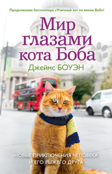 Слушать онлайн аудиокниги Мир глазами кота Боба Аудиокнига Мир глазами кота Боба