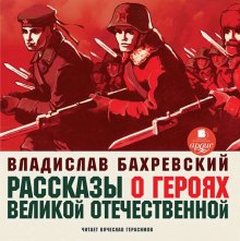 Слушать онлайн аудиокниги Рассказы о героях Великой Отечественной Аудиокнига Рассказы о героях Великой Отечественной