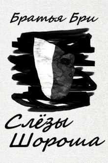 Аудиокнига Слезы Шороша. Книга 1