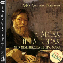 Аудиокнига В лесах и на горах, мир Мельникова-Печерского