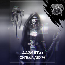 слушать аудиокнигу Сигнал/шум Аудиокнига Сигнал/шум