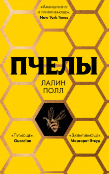 слушать аудиокнигу Пчелы Аудиокнига Пчелы
