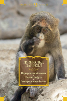 Слушать онлайн аудиокниги Гончие Бафута Аудиокнига Гончие Бафута