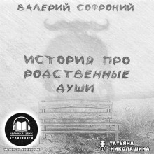 слушать аудиокнигу История про родственные души Аудиокнига История про родственные души