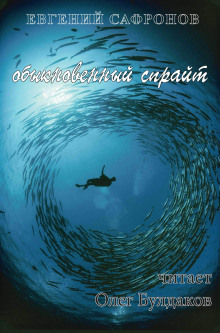 слушать аудиокнигу Обыкновенный спрайт Аудиокнига Обыкновенный спрайт