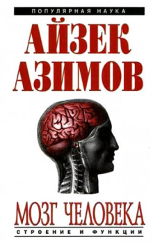 Слушать онлайн аудиокниги Человеческий мозг. От аксона до нейрона Аудиокнига Человеческий мозг. От аксона до нейрона