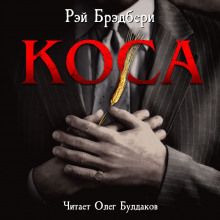Аудиокнига Коса