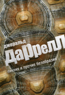 Аудиокнига Пикник и прочие безобразия