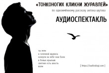 Слушать онлайн аудиокниги Тонконогих кликни журавлей Аудиокнига Тонконогих кликни журавлей