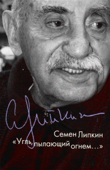 слушать аудиокнигу Дни нашей жизни Аудиокнига Дни нашей жизни
