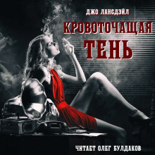 Слушать онлайн аудиокниги Кровоточащая тень Аудиокнига Кровоточащая тень