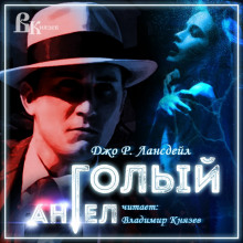 Аудиокнига Голый ангел