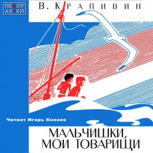 Аудиокнига Мальчишки, мои товарищи