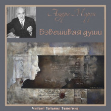слушать аудиокнигу Взвешивая души Аудиокнига Взвешивая души