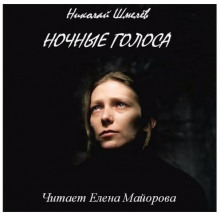 Слушать онлайн аудиокниги Ночные голоса Аудиокнига Ночные голоса