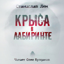 Слушать онлайн аудиокниги Крыса в лабиринте Аудиокнига Крыса в лабиринте