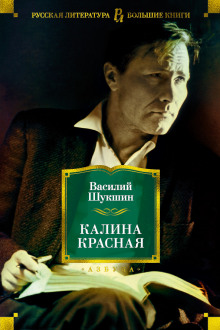 Слушать онлайн аудиокниги Сапожки Аудиокнига Сапожки