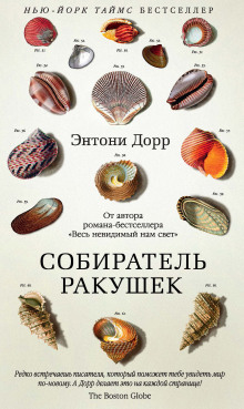 Слушать онлайн аудиокниги Собиратель ракушек Аудиокнига Собиратель ракушек