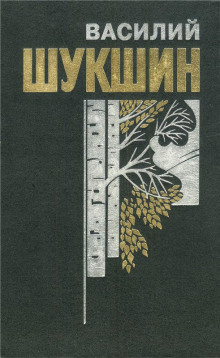 Слушать онлайн аудиокниги Рассказы Аудиокнига Рассказы