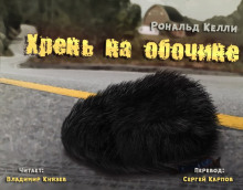 слушать аудиокнигу Хрень на обочине Аудиокнига Хрень на обочине