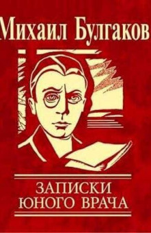 Аудиокнига Вьюга