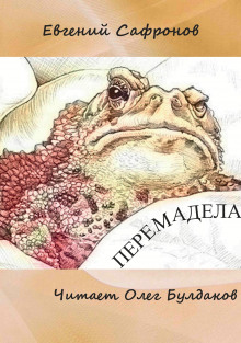 Слушать онлайн аудиокниги Перемадела Аудиокнига Перемадела