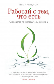 Слушать онлайн аудиокниги Работай с тем, что есть. Руководство по сострадательной жизни Аудиокнига Работай с тем, что есть. Руководство по сострадательной жизни