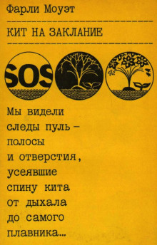 Слушать онлайн аудиокниги Кит на заклание Аудиокнига Кит на заклание