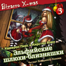Слушать онлайн аудиокниги Эльфийские шлюхи близняшки Аудиокнига Эльфийские шлюхи близняшки