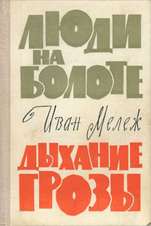 Слушать онлайн аудиокниги Дыхание грозы Аудиокнига Дыхание грозы