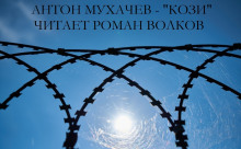 Аудиокнига Кози
