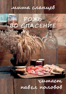Аудиокнига Рожь во спасение