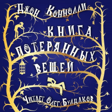 Слушать онлайн аудиокниги Книга потерянных вещей Аудиокнига Книга потерянных вещей