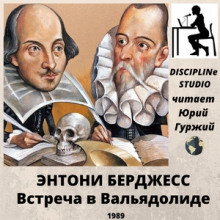 Слушать онлайн аудиокниги Встреча в Вальядолиде Аудиокнига Встреча в Вальядолиде