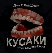 Слушать онлайн аудиокниги Кусаки Аудиокнига Кусаки