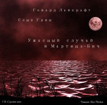 Слушать онлайн аудиокниги Ужасный случай в Мартинз-Бич Аудиокнига Ужасный случай в Мартинз-Бич