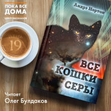Аудиокнига Все кошки серы