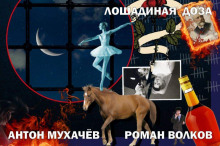 Слушать онлайн аудиокниги Лошадиная доза Аудиокнига Лошадиная доза
