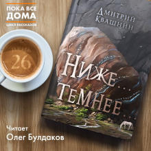 Слушать онлайн аудиокниги Ниже... темнее... Аудиокнига Ниже... темнее...